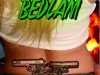 Book Promo – ‘Chasing Bedlam’ for 99c /&nbsp;99p…