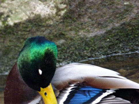 frost-fog-derbyshire-hermits-049