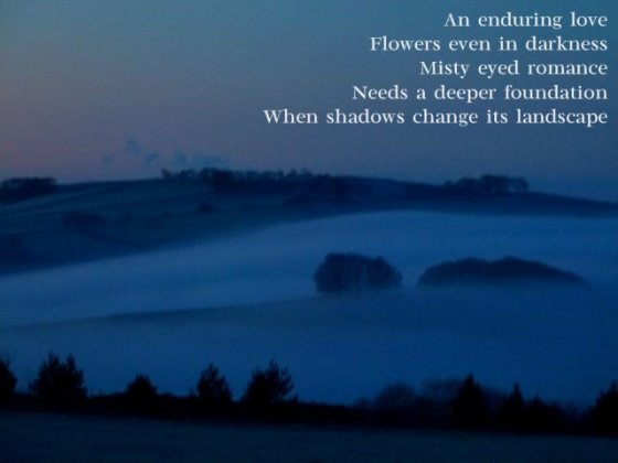 image-of-foggy-dawn-an-enduring-love-flowers-even-in-darkness-misty-eyed-romance-needs-a-deeper-foundation-when-shadows-change-its-landscape