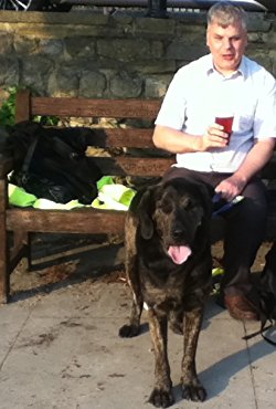 81ihurderl-_ux250_-png