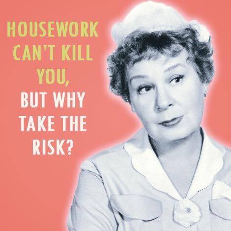 slob, humor, housework meme