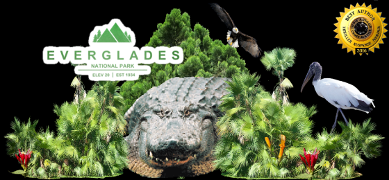 Ger everglades with alligator.png