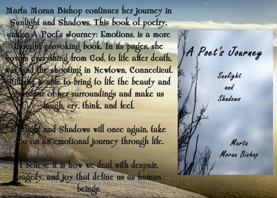 Marta sunlight and shadows teaser.jpg