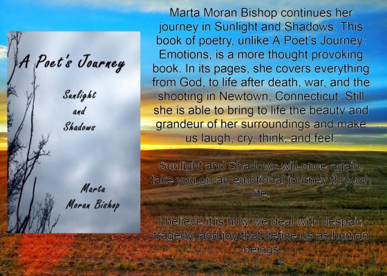 Marta sunlight and shadows with excerpt.jpg