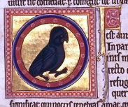 owl-aberdeen-bestiary