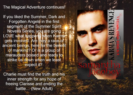 Sam karmas revenge with blurb.jpg