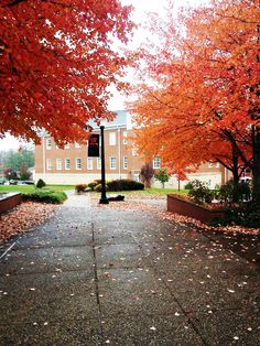 5a09f02f7f5b5ea2eea208267930694a