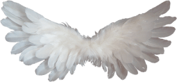 angel wings.png