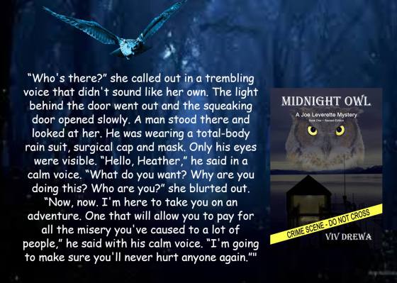 Viv midnight owl teaser.jpg