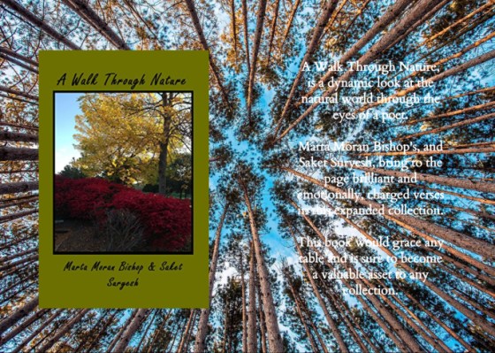 MARTA WALK THROUGH NATURE BLURB.jpg