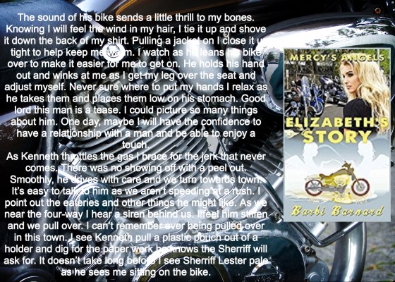 Barbi elizabeth excerpt