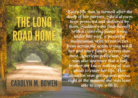 Carolyn long road home blurb.jpg
