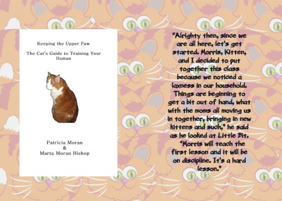 Marta cat conversation.jpg