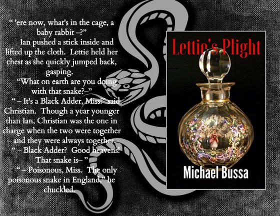 Mike letties plight blurb.jpg