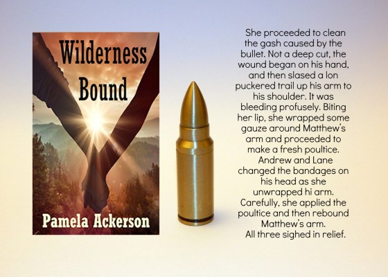 Pam wilderness bound excerpt.jpg