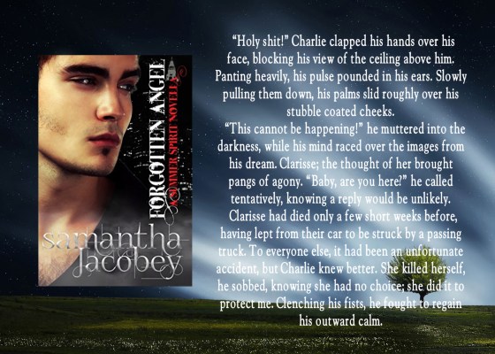 Sam forgotten angel talk.jpg