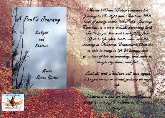 Marta sunlight and shadows blurb.jpg