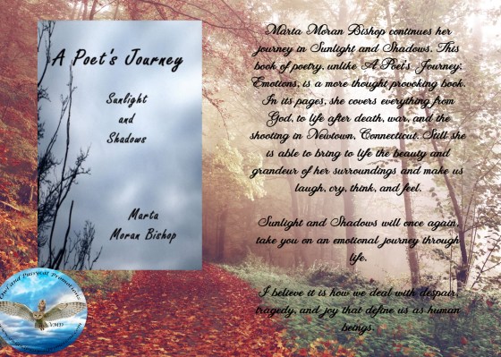 Marta sunlight and shadows blurb.jpg