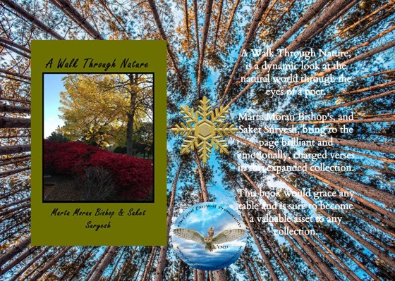 Marta walk through nature  Christmas.jpg