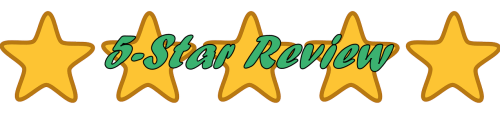5-star review