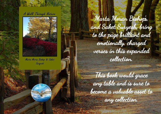 Marta a walk through nature blurb 3-19-18.jpg