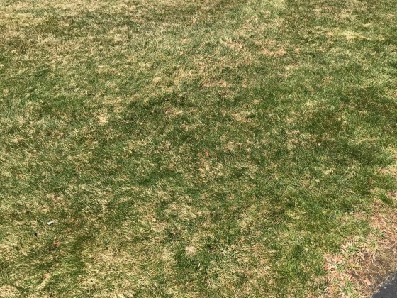 56DD0C69-59A6-45C1-B8F9-64C945A9A524