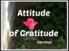 Attitude of Gratitude April 25&nbsp;2018
