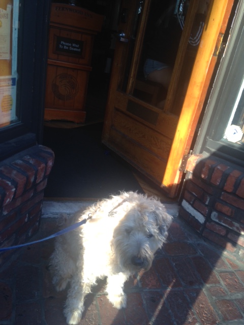 Farley at pub