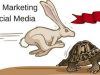 Hare and Tortoise – Online Marketing vs Social Media Marketing – by Derek&nbsp;Haines…