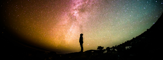 dream-a-little-dream-the-urban-howl