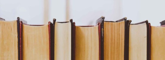 Coverless side of 7 thick books.