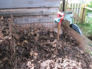 Compost in progress, last fall's leaves