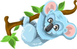 Koala Bear hanging on to a branch Jean's Writing
