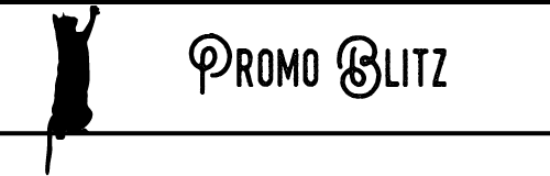 Promo Blitz