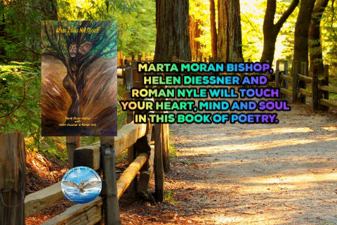 Animated GIF-downsized_large.gif