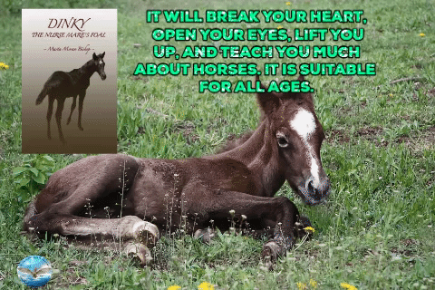 Animated GIF-downsized_large.gif