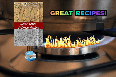 Animated GIF-downsized_large.gif