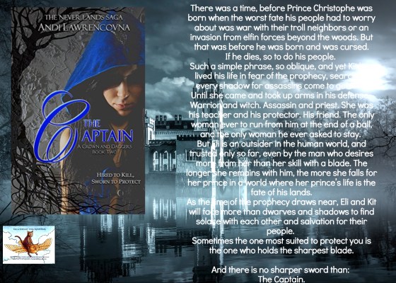 Andi the captain blurb