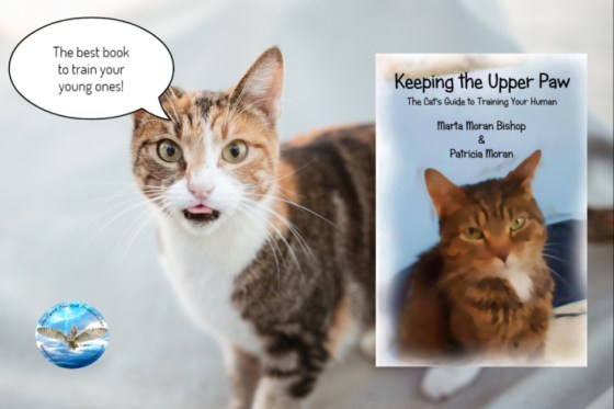 Marta keeping the upper paw 9-17-18.jpg