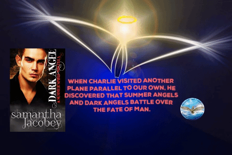 Animated GIF-downsized_large.gif