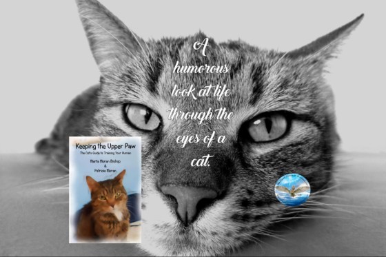 Marta cat guide to training your human 6-4-18