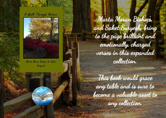 Marta a walk through nature blurb 3-19-18.jpg