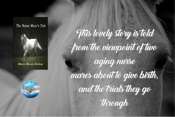 Marta nurse mare 9-2019.jpg