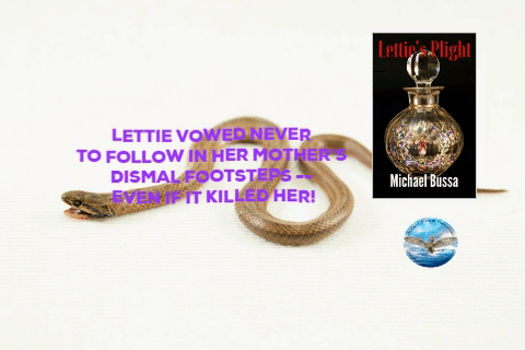 Animated GIF-downsized_large.gif