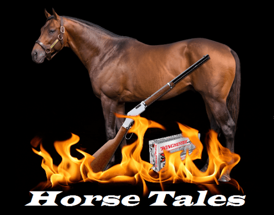 Ger horse tales with gun