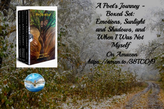 Marta poets journey box set