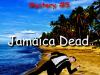 “Even paradise has a lot of problems, but the author makes it intriguing” – JAMAICA DEAD: LAURA & GERRY SERIES (LAURA & GERRY MYSTERIES Book 5) by Karen&nbsp;Vaughan