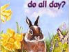 “I think the storyline is ideal for young children” – What do Bunnies do all Day by Judy&nbsp;Mastrangelo