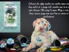 This story is about Riley, a cute, little, rescue puppy who gets into all sorts of predicaments. – Riley Gets Into Predicaments: A Granny Pants Story (The Long and Little Doggie Book 2) by Pamela&nbsp;Ackerson