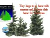 Follow Tiny as he discovers Christmas is more than fancy decorations and expensive presents. – Tiny the Tree by Mary Clark Dalton, illustrated by Stacy&nbsp;Moody